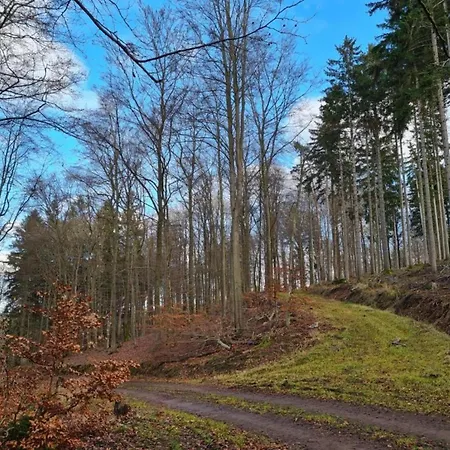 Cosy Near The Forest *